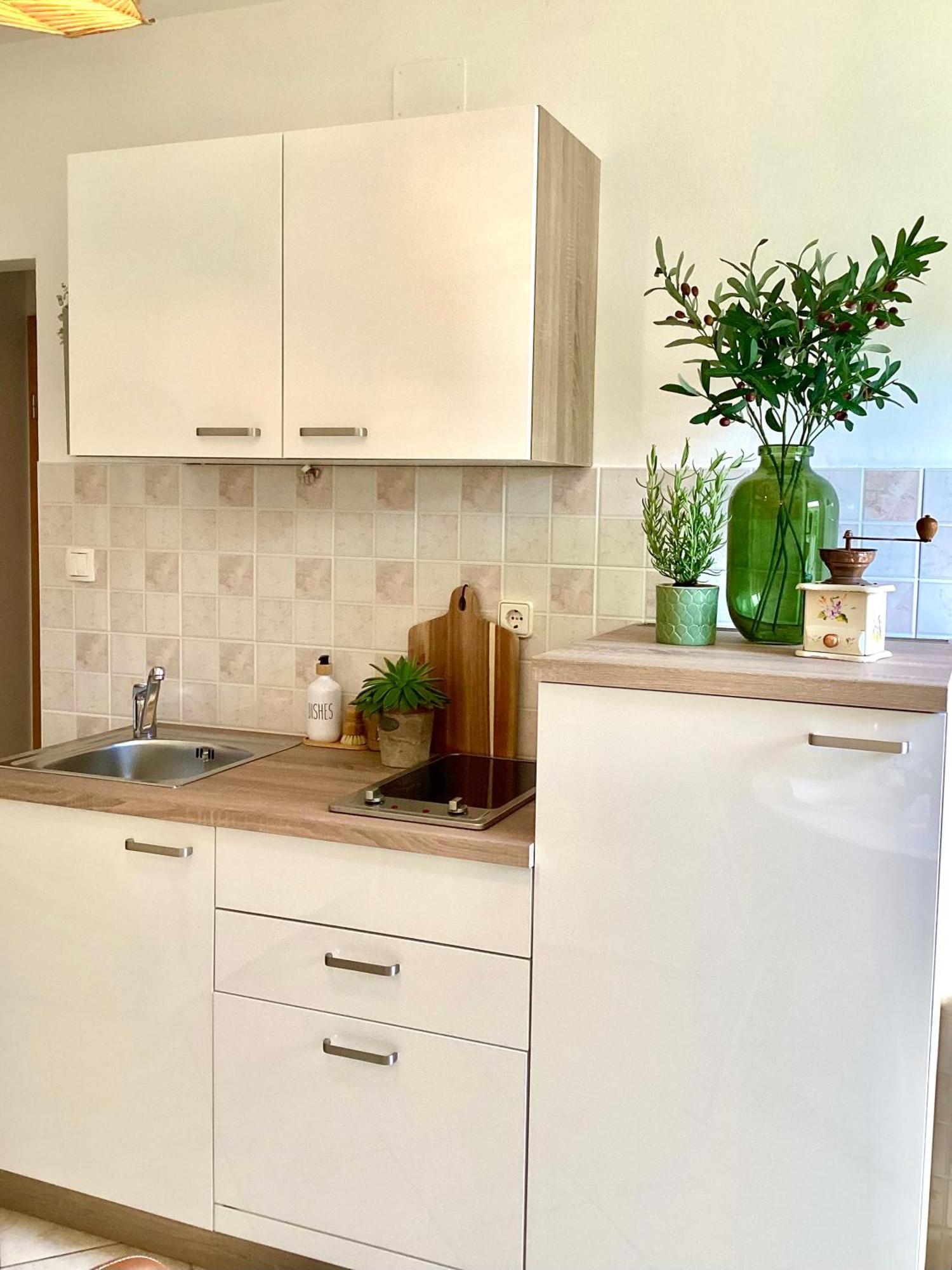 Apartmani Mate ロゴズニッツァ 部屋 写真